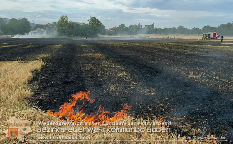 20260707_Verdacht auf Brandstiftung bei Vegetationsbrand in Kottingbrunn  Foto: Stefan Schneider BFKDO BADEN
