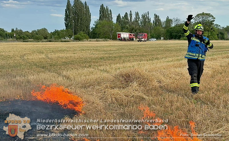 20260707_Verdacht auf Brandstiftung bei Vegetationsbrand in Kottingbrunn  Foto: Stefan Schneider BFKDO BADEN