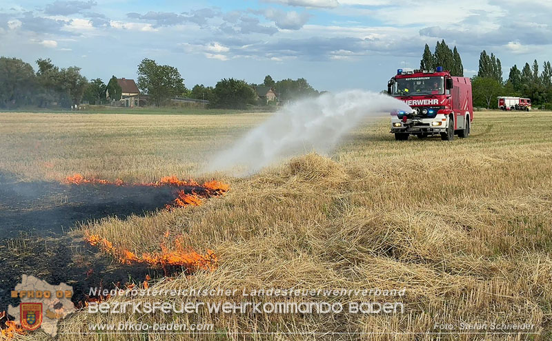 20260707_Verdacht auf Brandstiftung bei Vegetationsbrand in Kottingbrunn  Foto: Stefan Schneider BFKDO BADEN