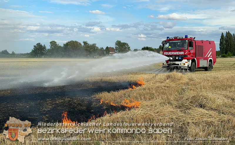 20260707_Verdacht auf Brandstiftung bei Vegetationsbrand in Kottingbrunn  Foto: Stefan Schneider BFKDO BADEN