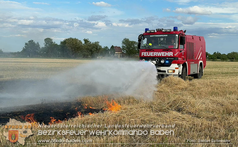 20260707_Verdacht auf Brandstiftung bei Vegetationsbrand in Kottingbrunn  Foto: Stefan Schneider BFKDO BADEN