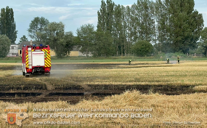 20260707_Verdacht auf Brandstiftung bei Vegetationsbrand in Kottingbrunn  Foto: Stefan Schneider BFKDO BADEN