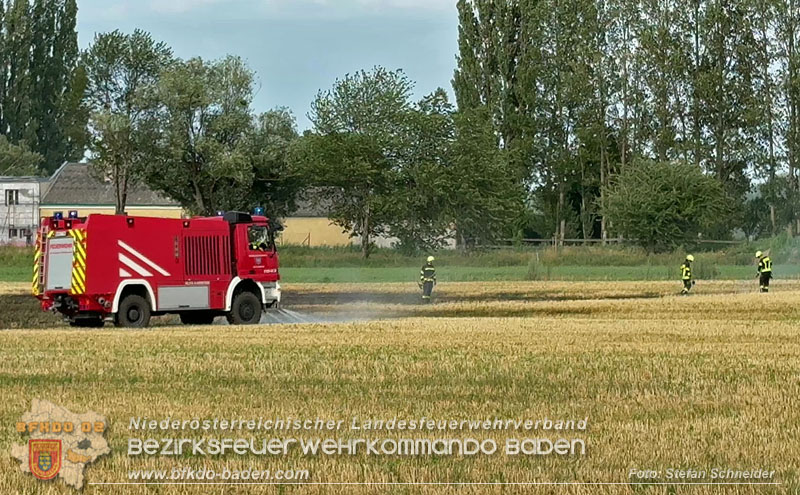 20260707_Verdacht auf Brandstiftung bei Vegetationsbrand in Kottingbrunn  Foto: Stefan Schneider BFKDO BADEN