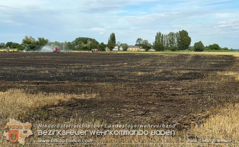 20260707_Verdacht auf Brandstiftung bei Vegetationsbrand in Kottingbrunn  Foto: Stefan Schneider BFKDO BADEN