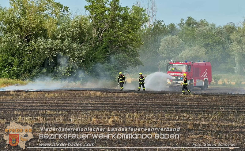 20260707_Verdacht auf Brandstiftung bei Vegetationsbrand in Kottingbrunn  Foto: Stefan Schneider BFKDO BADEN