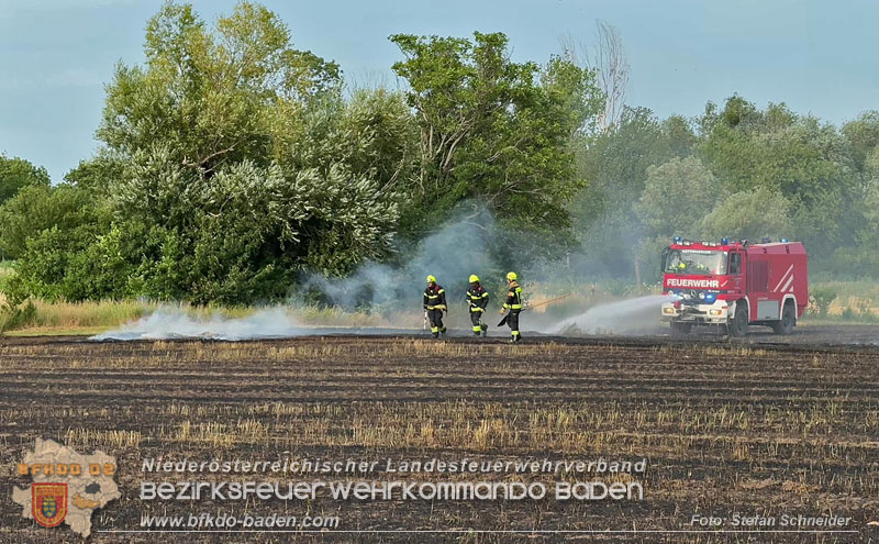 20260707_Verdacht auf Brandstiftung bei Vegetationsbrand in Kottingbrunn  Foto: Stefan Schneider BFKDO BADEN