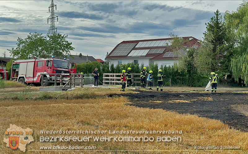 20260707_Verdacht auf Brandstiftung bei Vegetationsbrand in Kottingbrunn  Foto: Stefan Schneider BFKDO BADEN