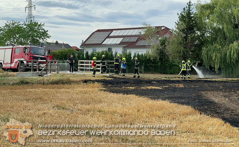 20260707_Verdacht auf Brandstiftung bei Vegetationsbrand in Kottingbrunn  Foto: Stefan Schneider BFKDO BADEN