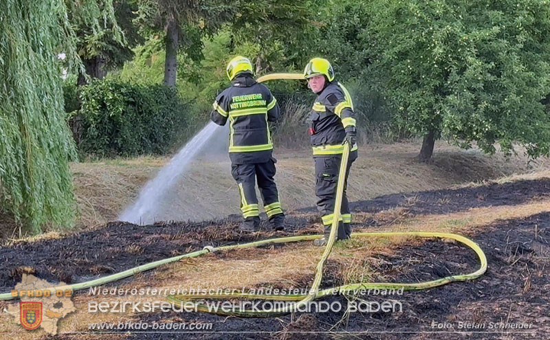 20260707_Verdacht auf Brandstiftung bei Vegetationsbrand in Kottingbrunn  Foto: Stefan Schneider BFKDO BADEN