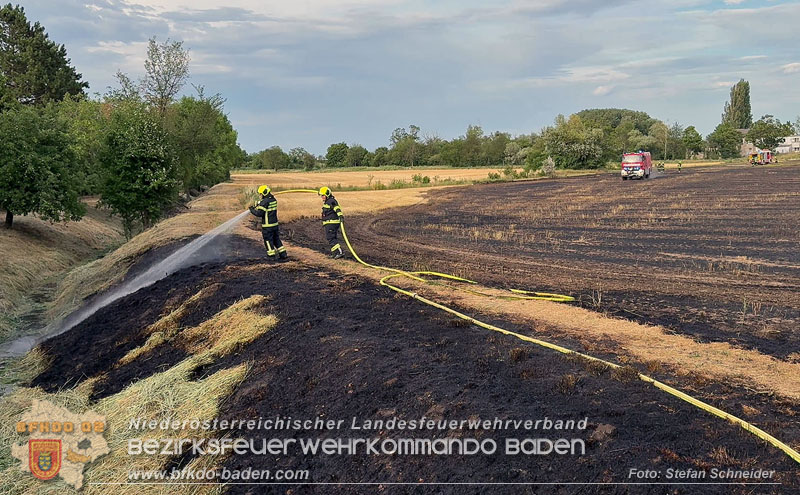 20260707_Verdacht auf Brandstiftung bei Vegetationsbrand in Kottingbrunn  Foto: Stefan Schneider BFKDO BADEN