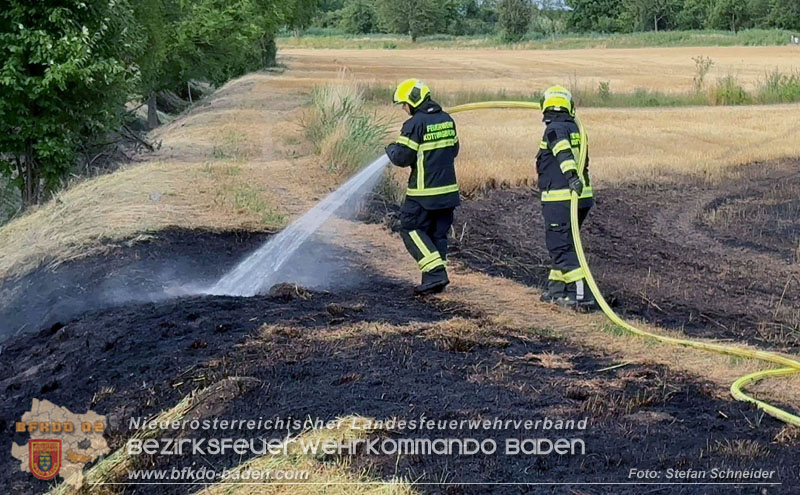 20260707_Verdacht auf Brandstiftung bei Vegetationsbrand in Kottingbrunn  Foto: Stefan Schneider BFKDO BADEN