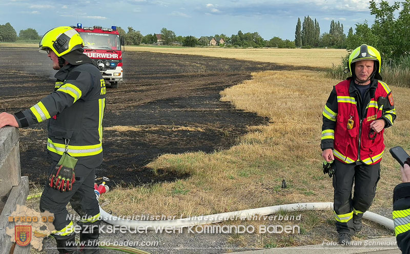 20260707_Verdacht auf Brandstiftung bei Vegetationsbrand in Kottingbrunn  Foto: Stefan Schneider BFKDO BADEN