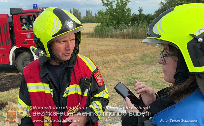20260707_Verdacht auf Brandstiftung bei Vegetationsbrand in Kottingbrunn  Foto: Stefan Schneider BFKDO BADEN
