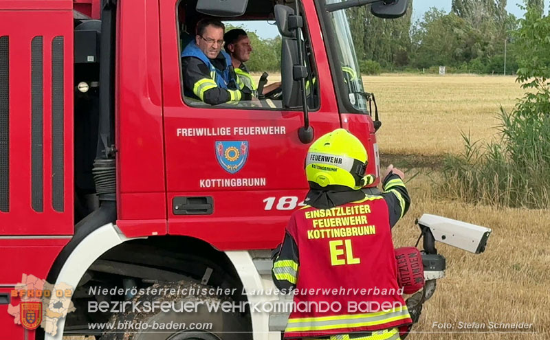 20260707_Verdacht auf Brandstiftung bei Vegetationsbrand in Kottingbrunn  Foto: Stefan Schneider BFKDO BADEN