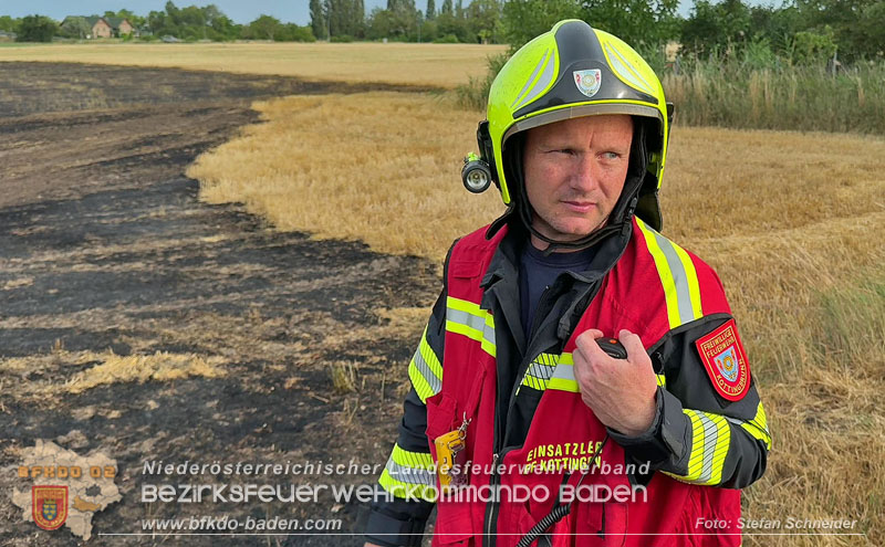 20260707_Verdacht auf Brandstiftung bei Vegetationsbrand in Kottingbrunn  Foto: Stefan Schneider BFKDO BADEN