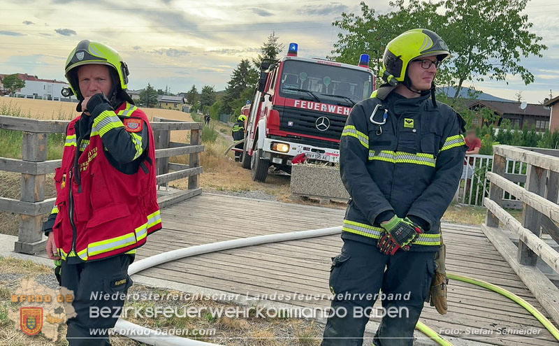 20260707_Verdacht auf Brandstiftung bei Vegetationsbrand in Kottingbrunn  Foto: Stefan Schneider BFKDO BADEN