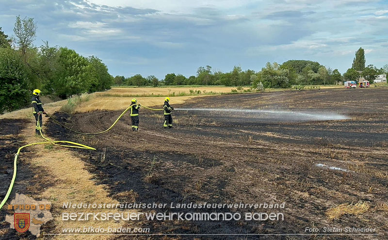 20260707_Verdacht auf Brandstiftung bei Vegetationsbrand in Kottingbrunn  Foto: Stefan Schneider BFKDO BADEN