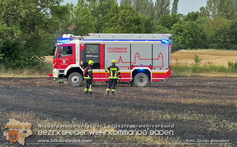 20260707_Verdacht auf Brandstiftung bei Vegetationsbrand in Kottingbrunn  Foto: Stefan Schneider BFKDO BADEN