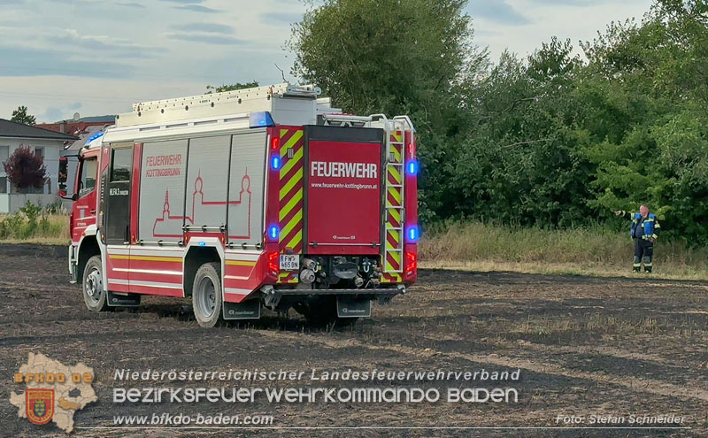 20260707_Verdacht auf Brandstiftung bei Vegetationsbrand in Kottingbrunn  Foto: Stefan Schneider BFKDO BADEN