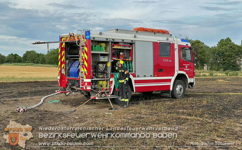 20260707_Verdacht auf Brandstiftung bei Vegetationsbrand in Kottingbrunn  Foto: Stefan Schneider BFKDO BADEN