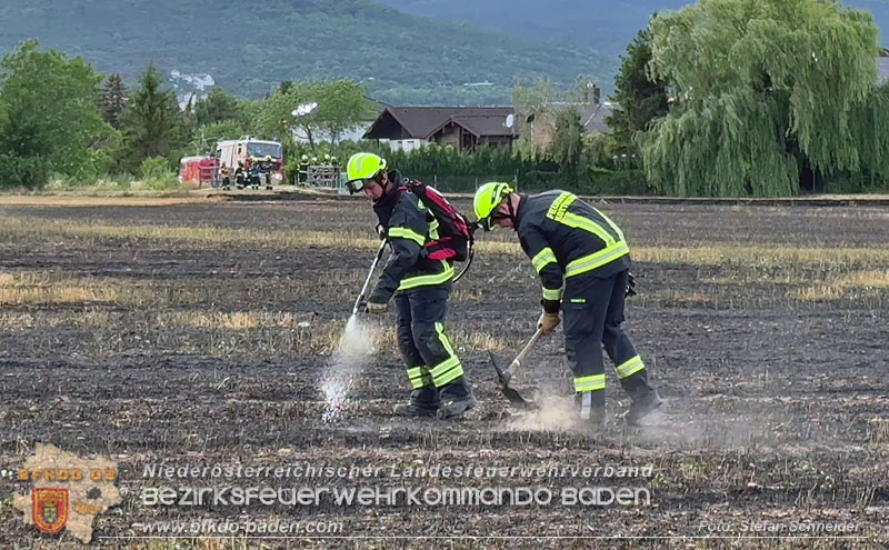 20260707_Verdacht auf Brandstiftung bei Vegetationsbrand in Kottingbrunn  Foto: Stefan Schneider BFKDO BADEN