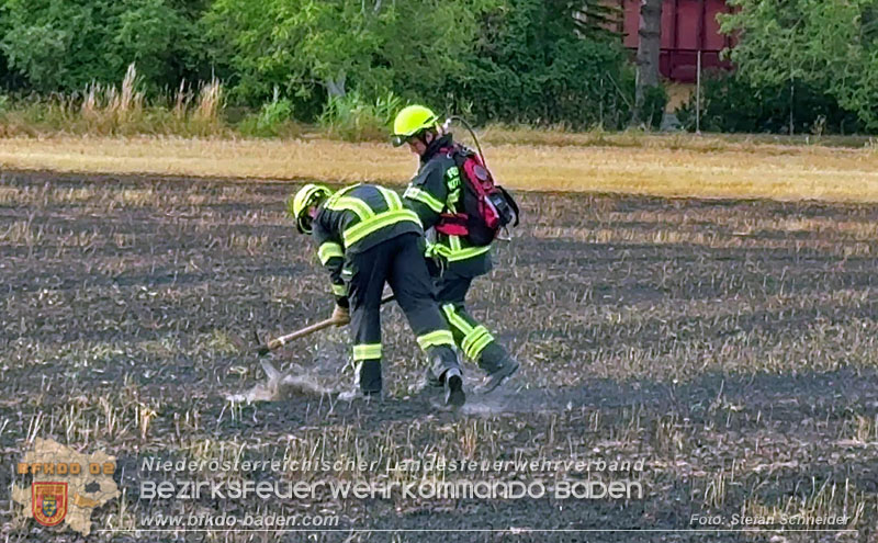 20260707_Verdacht auf Brandstiftung bei Vegetationsbrand in Kottingbrunn  Foto: Stefan Schneider BFKDO BADEN