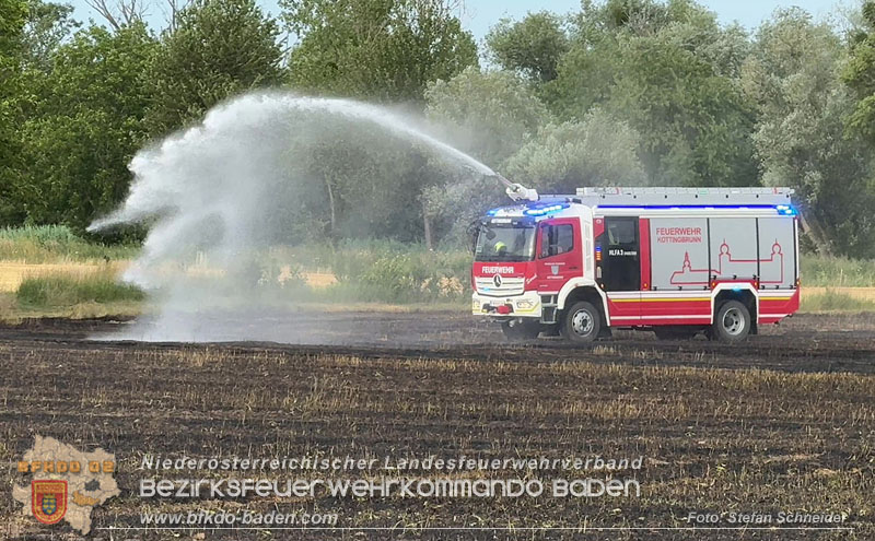 20260707_Verdacht auf Brandstiftung bei Vegetationsbrand in Kottingbrunn  Foto: Stefan Schneider BFKDO BADEN