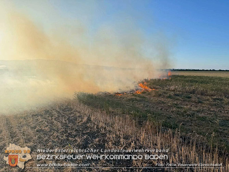 20260709_Vegetationsbrand auf einem Feld zwischen Oberwaltersdorf und Ebreichsdorf Foto: Freiwillige Feuerwehr Ebreichsdorf 20260709_Vegetationsbrand auf einem Feld zwischen Oberwaltersdorf und Ebreichsdorf Foto: Freiwillige Feuerwehr Ebreichsdorf