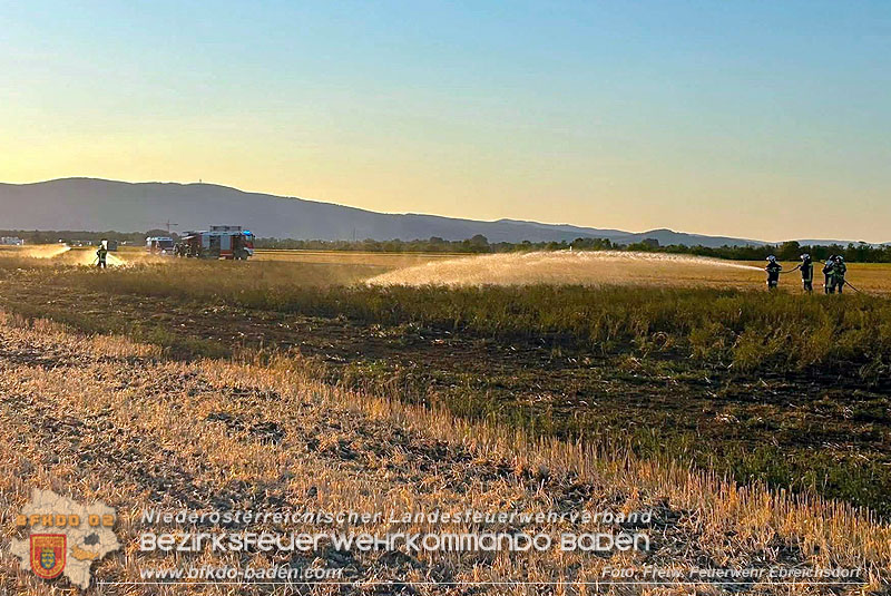 20260709_Vegetationsbrand auf einem Feld zwischen Oberwaltersdorf und Ebreichsdorf Foto: Freiwillige Feuerwehr Ebreichsdorf 20260709_Vegetationsbrand auf einem Feld zwischen Oberwaltersdorf und Ebreichsdorf Foto: Freiwillige Feuerwehr Ebreichsdorf