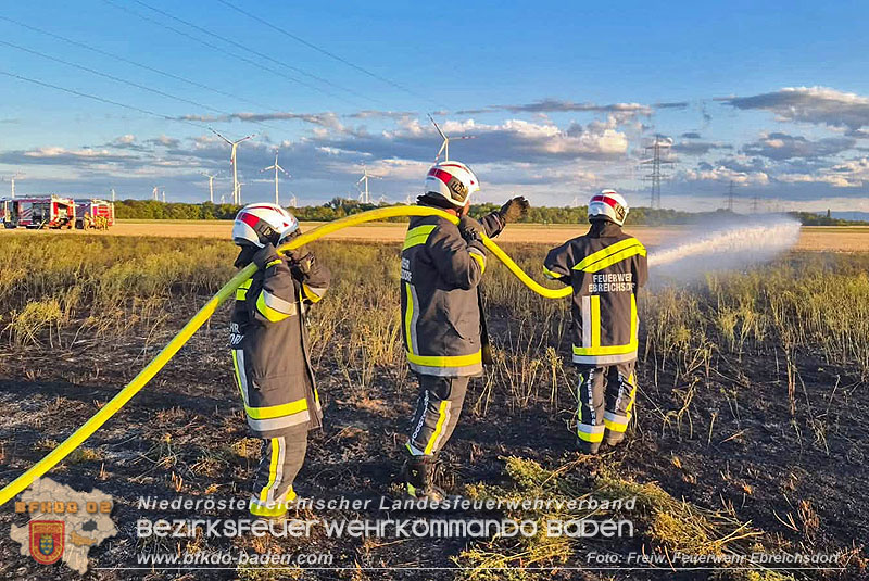 20260709_Vegetationsbrand auf einem Feld zwischen Oberwaltersdorf und Ebreichsdorf Foto: Freiwillige Feuerwehr Ebreichsdorf 20260709_Vegetationsbrand auf einem Feld zwischen Oberwaltersdorf und Ebreichsdorf Foto: Freiwillige Feuerwehr Ebreichsdorf