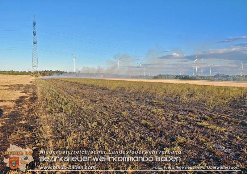 20260709_Vegetationsbrand auf einem Feld zwischen Oberwaltersdorf und Ebreichsdorf Foto: Freiwillige Feuerwehr Oberwaltersdorf 20260709_Vegetationsbrand auf einem Feld zwischen Oberwaltersdorf und Ebreichsdorf Foto: Freiwillige Feuerwehr Oberwaltersdorf
