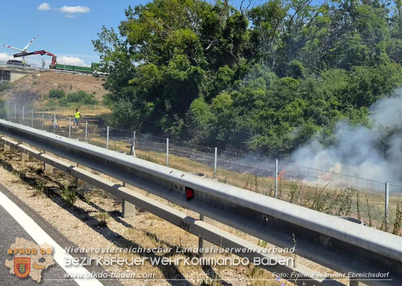 20260710_Vegetationsbrand direkt neben der A3 H�he Ebreichsdorf NORD  Foto: FF Ebreichsdorf