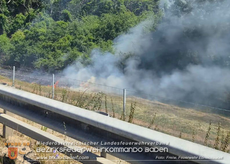 20260710_Vegetationsbrand direkt neben der A3 H�he Ebreichsdorf NORD  Foto: FF Ebreichsdorf