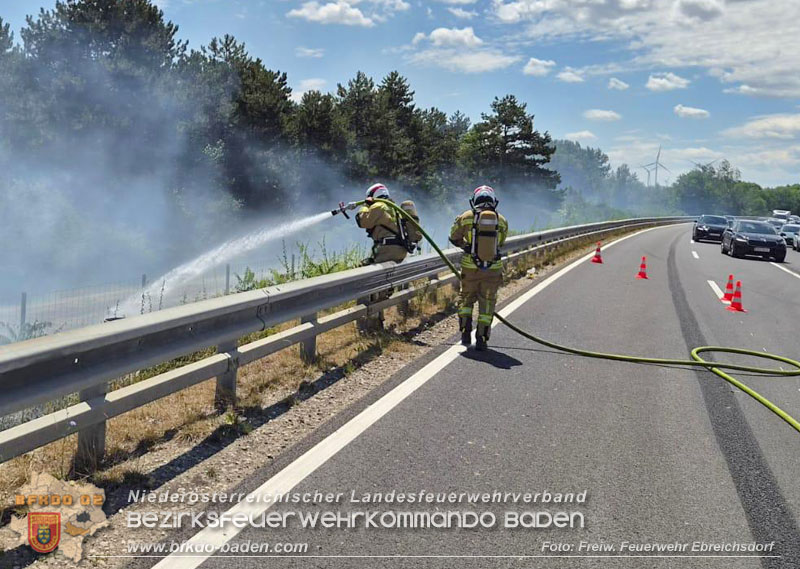20260710_Vegetationsbrand direkt neben der A3 H�he Ebreichsdorf NORD  Foto: FF Ebreichsdorf