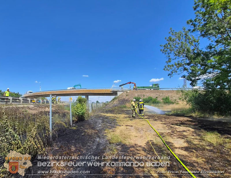 20260710_Vegetationsbrand direkt neben der A3 H�he Ebreichsdorf NORD Foto: FF Ebreichsdorf