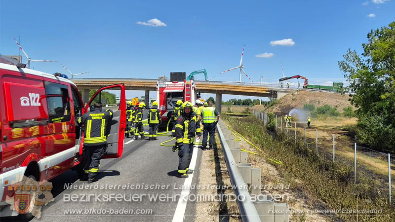 20260710_Vegetationsbrand direkt neben der A3 H�he Ebreichsdorf NORD Foto: FF Ebreichsdorf