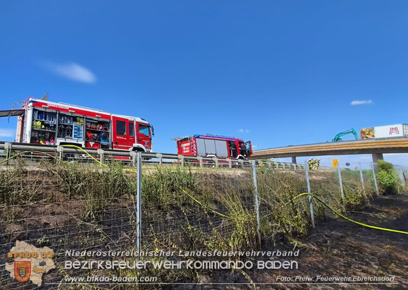 20260710_Vegetationsbrand direkt neben der A3 H�he Ebreichsdorf NORD Foto: FF Ebreichsdorf