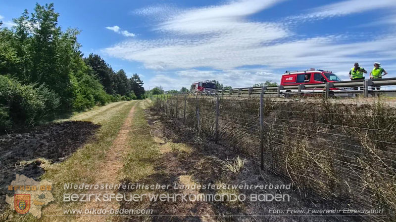 20260710_Vegetationsbrand direkt neben der A3 H�he Ebreichsdorf NORD Foto: FF Ebreichsdorf