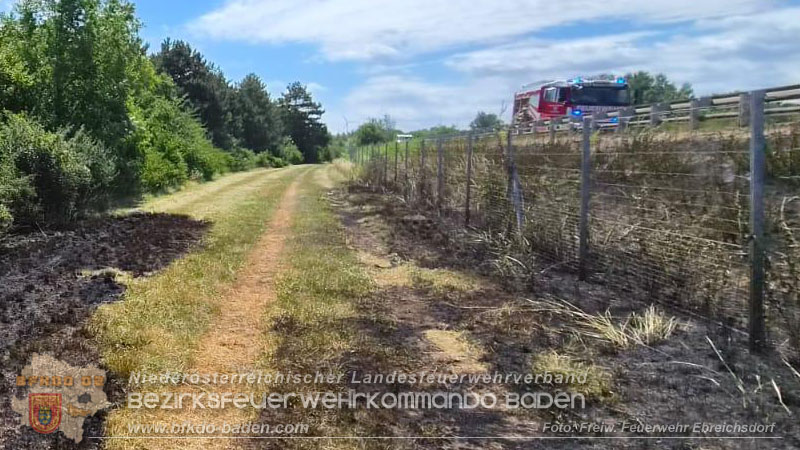 20260710_Vegetationsbrand direkt neben der A3 H�he Ebreichsdorf NORD Foto: FF Ebreichsdorf