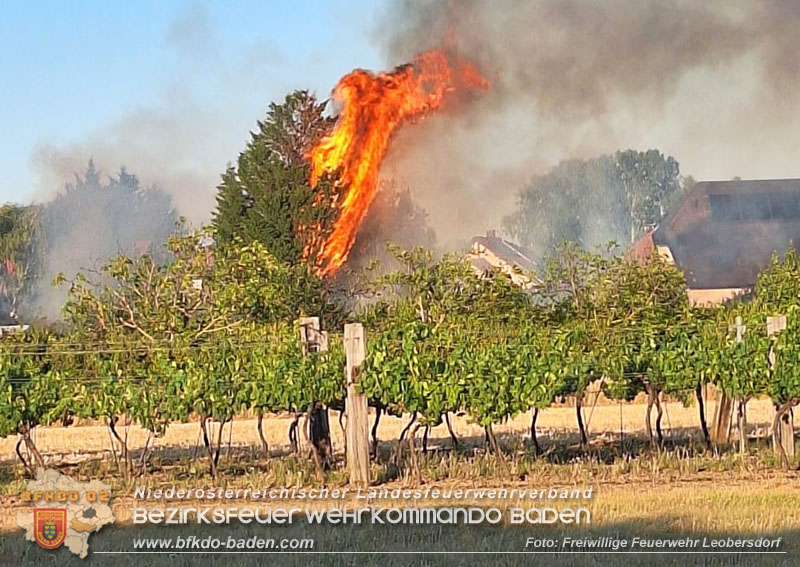 20260710_Vegetationsbrand in Leobersdorf Foto: FF Leobersdorf 20260710_Vegetationsbrand in Leobersdorf Foto: FF Leobersdorf