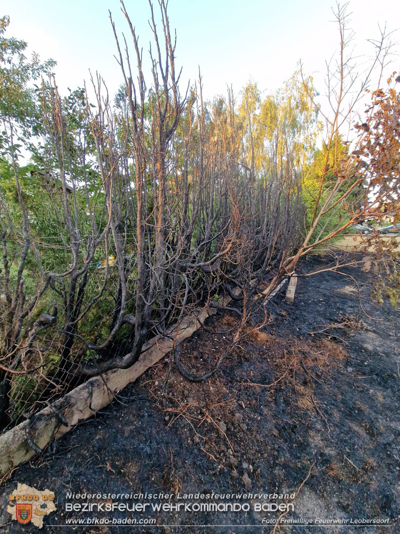 20260710_Vegetationsbrand in Leobersdorf Foto: FF Leobersdorf 20260710_Vegetationsbrand in Leobersdorf Foto: FF Leobersdorf