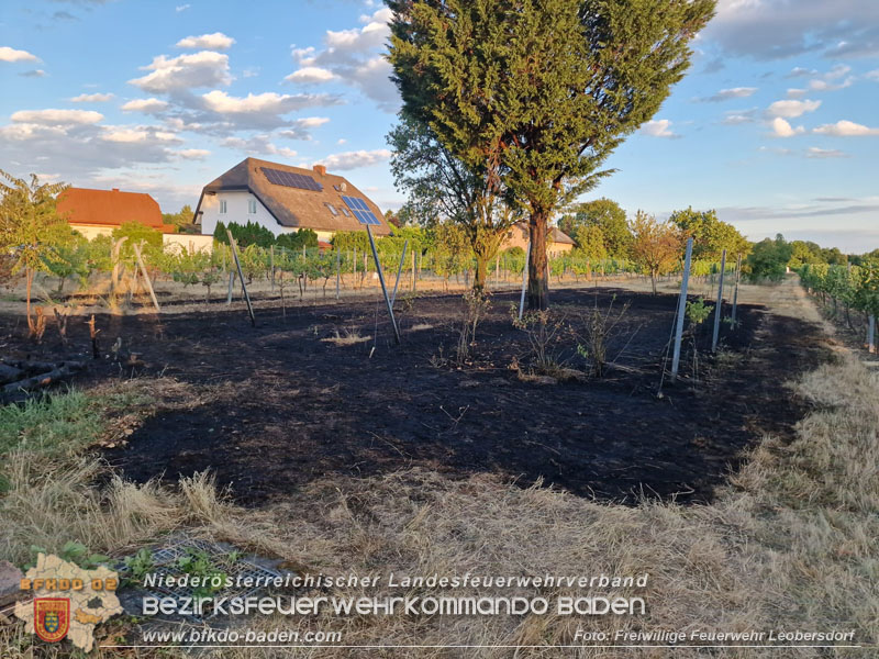 20260710_Vegetationsbrand in Leobersdorf Foto: FF Leobersdorf 20260710_Vegetationsbrand in Leobersdorf Foto: FF Leobersdorf