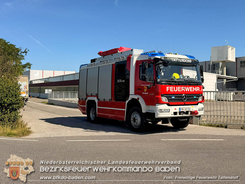 20260725_Entlaufene Schafherde sorgt f�r Doppeleinsatz in Tattendorf  Foto: FF Tattendorf