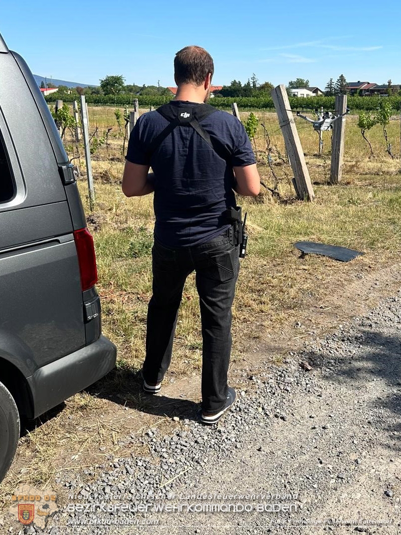 20260725_Entlaufene Schafherde sorgt f�r Doppeleinsatz in Tattendorf  Foto: FF Tattendorf