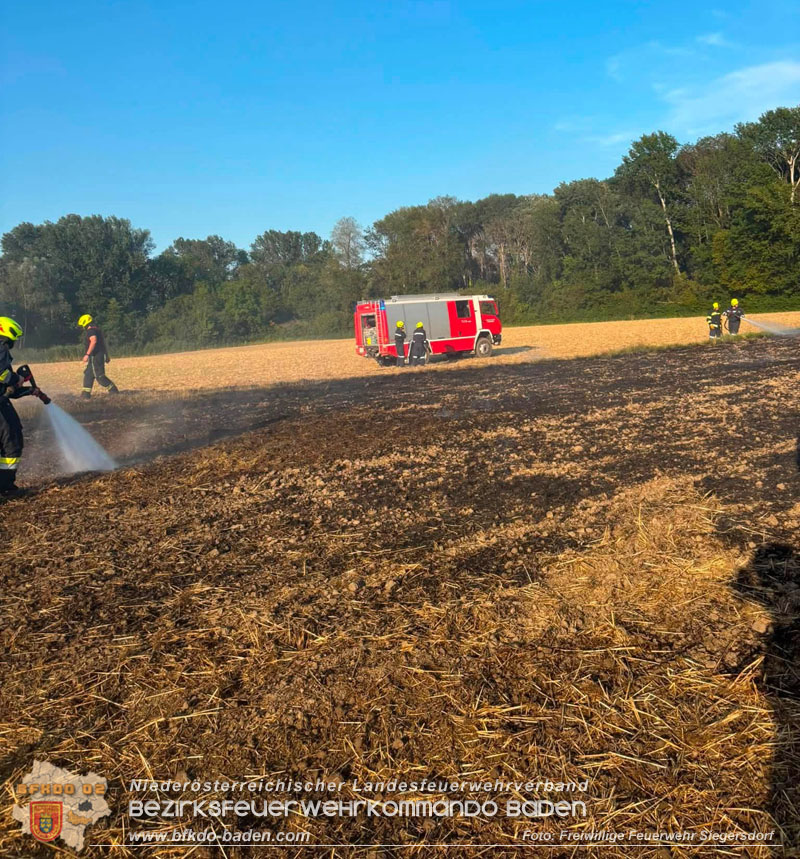 20260731_Feldbrand bei Siegersdorf rasch unter Kontrolle gebracht Foto: FF Siegersdorf 20260731_Feldbrand bei Siegersdorf rasch unter Kontrolle gebracht Foto: FF Siegersdorf