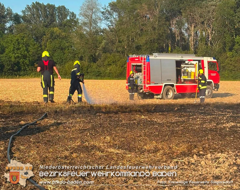 20260731_Feldbrand bei Siegersdorf rasch unter Kontrolle gebracht Foto: FF Siegersdorf 20260731_Feldbrand bei Siegersdorf rasch unter Kontrolle gebracht Foto: FF Siegersdorf