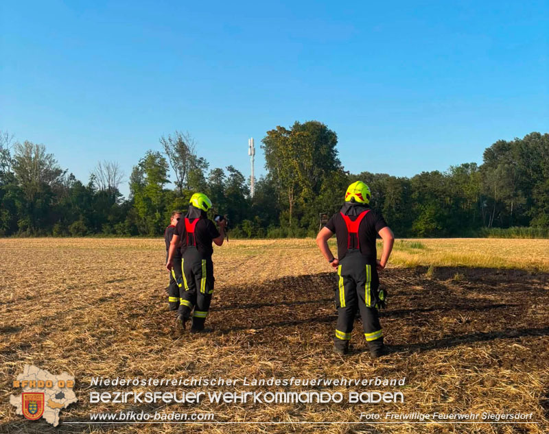 20260731_Feldbrand bei Siegersdorf rasch unter Kontrolle gebracht  Foto: FF Siegersdorf