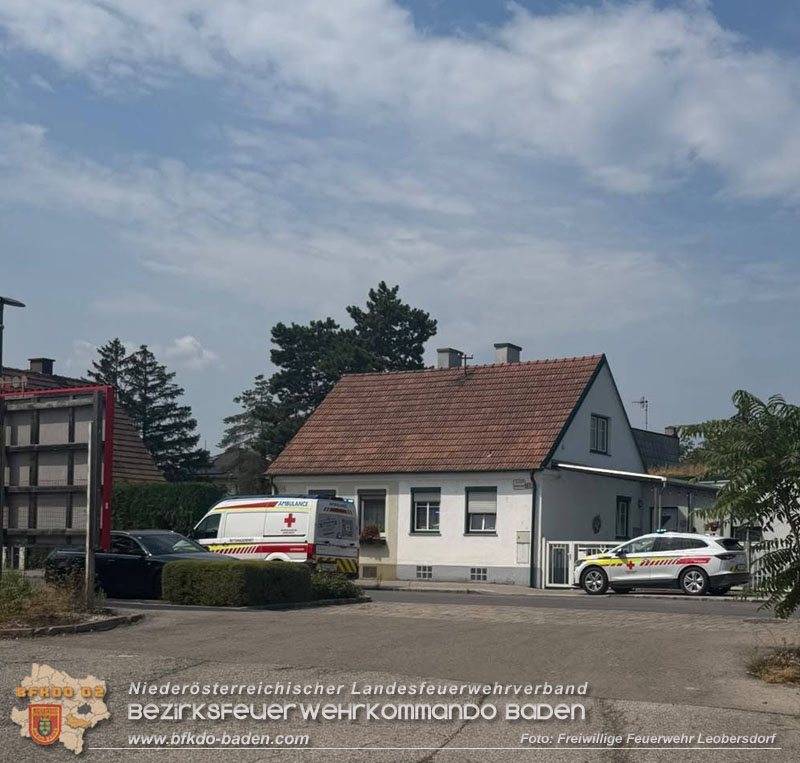 20260801_Brand einer Fritteuse in einer Restaurantk�che  Foto: FF Leobersdorf