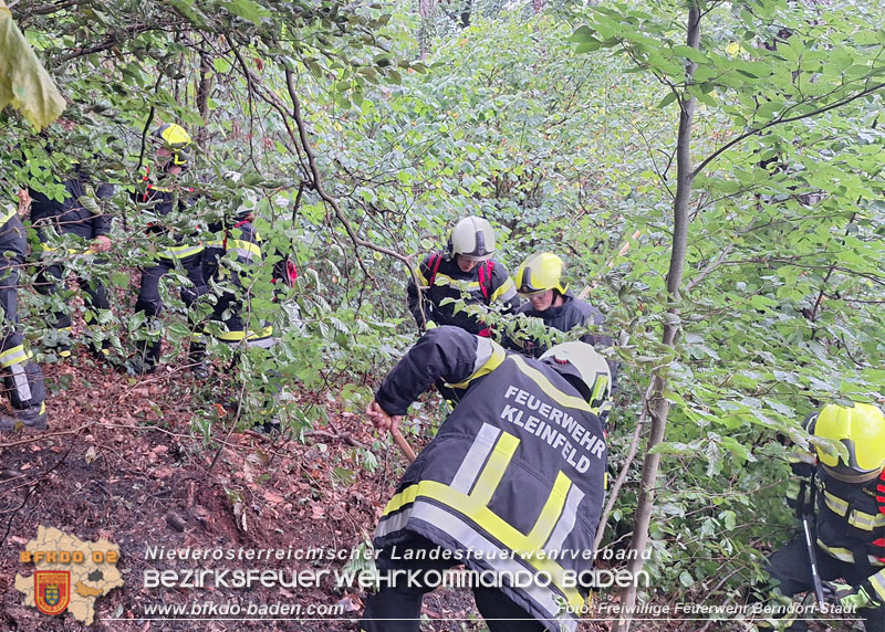 20260801_Blitzschlag l�st Waldbrand am Guglzipf aus  Foto: Florian Stadler FF Berndorf-Stadt