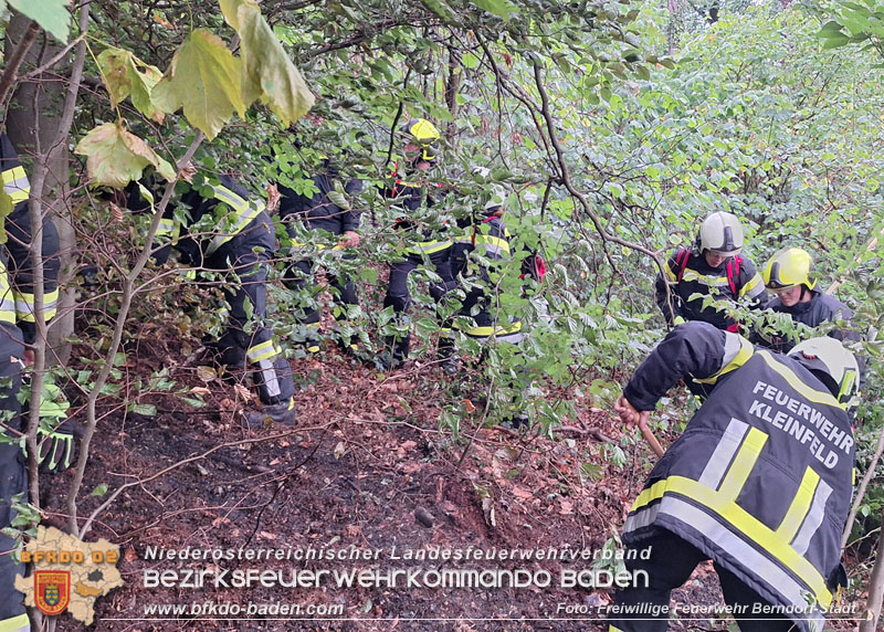 20260801_Blitzschlag l�st Waldbrand am Guglzipf aus  Foto: Florian Stadler FF Berndorf-Stadt